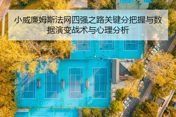 xiao-wei-lian-mu-si-fa-wang-si-qiang-zhi-lu-guan-jian-fen-ba-wo-yu-shu-ju-yan-bian-zhan-shu-yu-xin-li-fen-xi-2-479.jpg