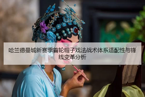 ha-lan-de-man-cheng-xin-sai-ji-shou-lun-mao-zi-xi-fa-zhan-shu-ti-xi-shi-pei-xing-yu-feng-xian-bian-ge-fen-xi-3-460.jpg